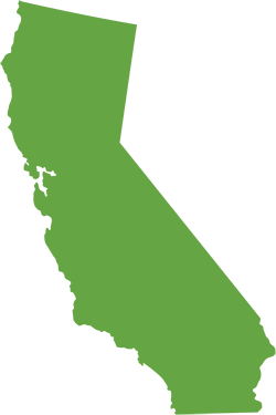 California state icon